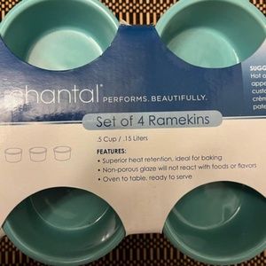 Chantal Caribbean Colored Ramekins